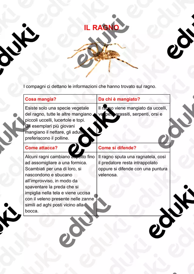 GLI ANIMALI (prima parte) Materiale di supporto/inclusione - GLI ANIMALI (prima parte) - la_maestra_giulia - Pagina di copertina