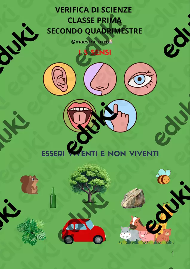 VERIFICA DI SCIENZE Materiale di supporto/inclusione - VERIFICA DI SCIENZE - Maestracrico - Pagina di copertina