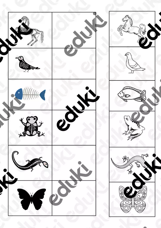 Gli animali classe seconda. Vertebrati e invertebrati. Materiale di supporto/inclusione - Gli animali classe seconda. Vertebrati e invertebrati. - lamaestraroby79 - Pagina di copertina