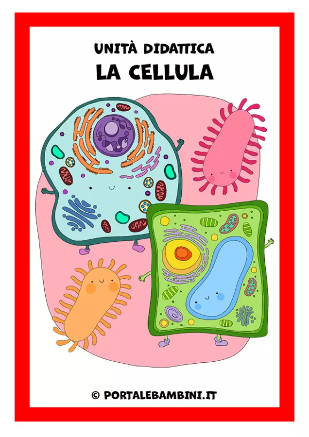 La cellula - Unità didattica Presentazioni / Lavagne - La cellula - Unità didattica - Cuorfolletto Creative Shop - Pagina di copertina