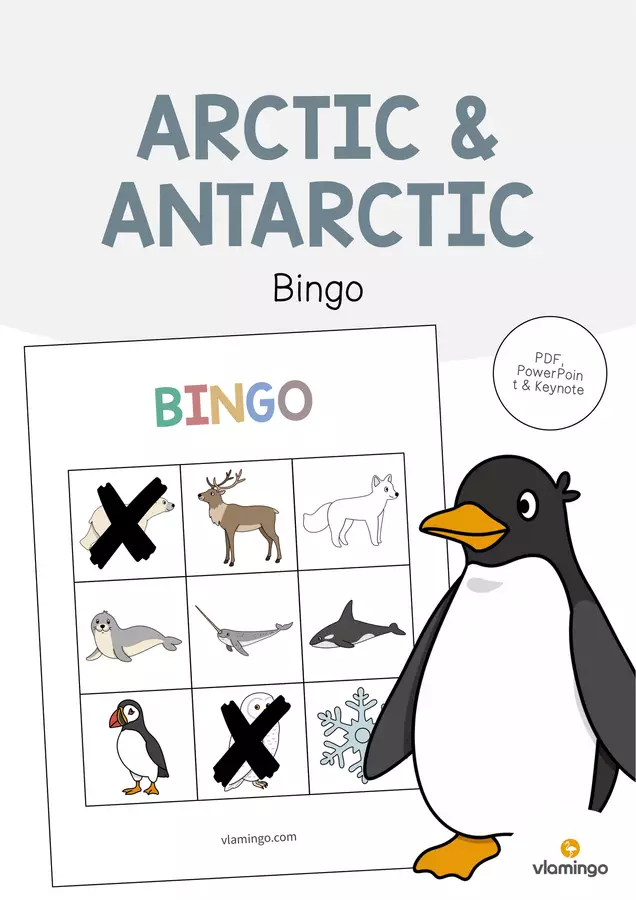 Arctic & Antarctic / Artide e Antartide: Bingo (Gioco per la lezione d'inglese) Flashcard - Arctic & Antarctic / Artide e Antartide: Bingo (Gioco per la lezione d'inglese) - vlamingo - Pagina di copertina