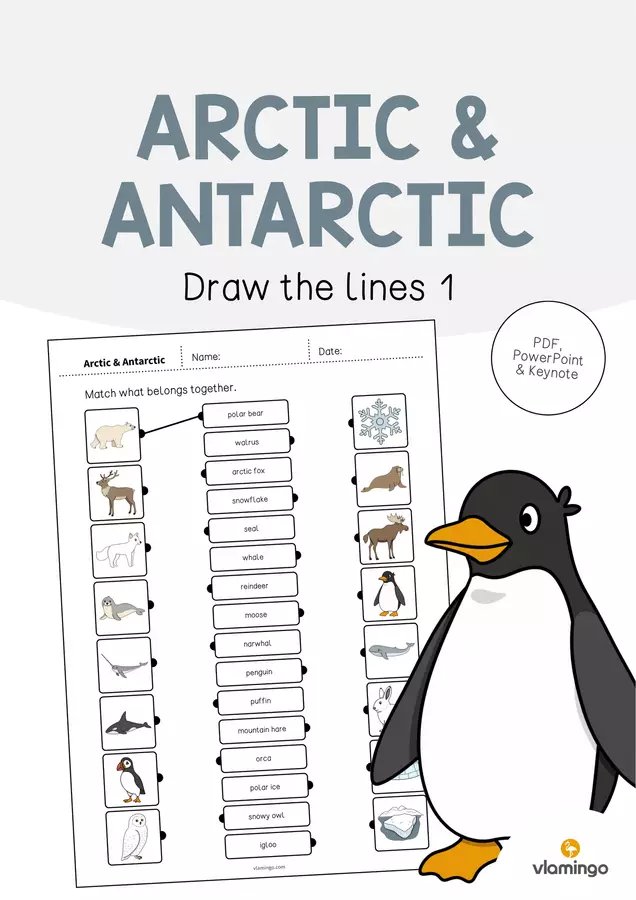 Arctic & Antarctic / Artide e Antartide: Draw the lines 1 (Scheda di esercizi di inglese) Esercizi - Arctic & Antarctic / Artide e Antartide: Draw the lines 1 (Scheda di esercizi di inglese) - vlamingo - Pagina di copertina
