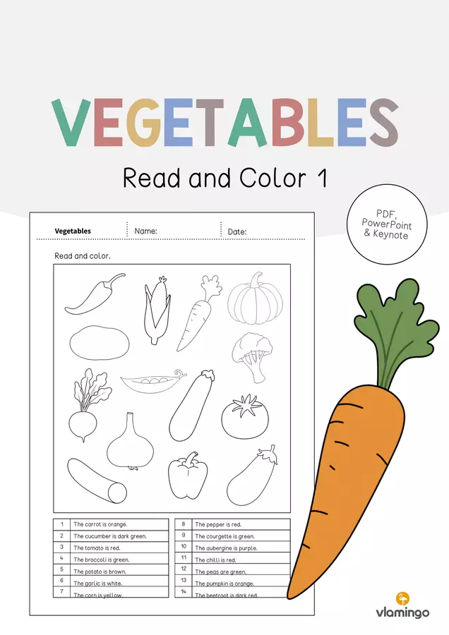 Vegetables / Verdure: Read and Color 1 (Scheda di esercizi di inglese) Esercizi - Vegetables / Verdure: Read and Color 1 (Scheda di esercizi di inglese) - vlamingo - Pagina di copertina