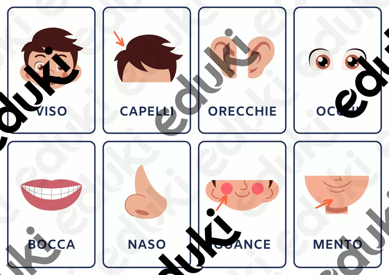 Le parti del corpo card plastificabili Esercizi - Le parti del corpo card plastificabili - Roberta Manca 🩷 la maestra di sostegno. - Pagina di copertina