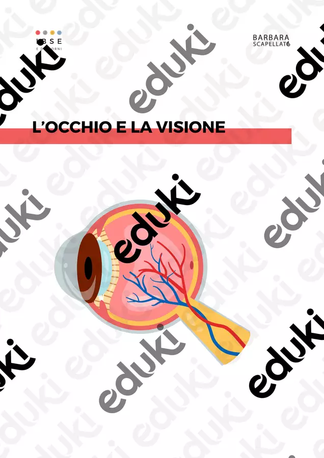 L'occhio e la visione Esperimenti - L'occhio e la visione - Barbara Scapellato - IBSE e dintorni - Pagina di copertina