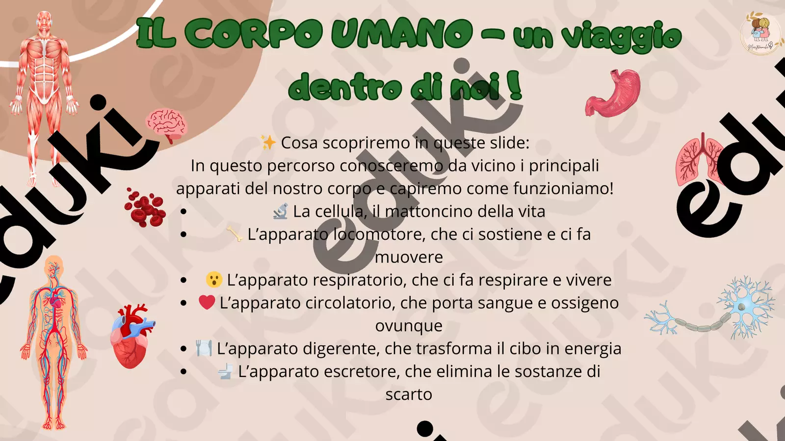 IL CORPO UMANO- un viaggio dentro di noi! Presentazioni / Lavagne - IL CORPO UMANO- un viaggio dentro di noi! - maestreamiche - Pagina di copertina
