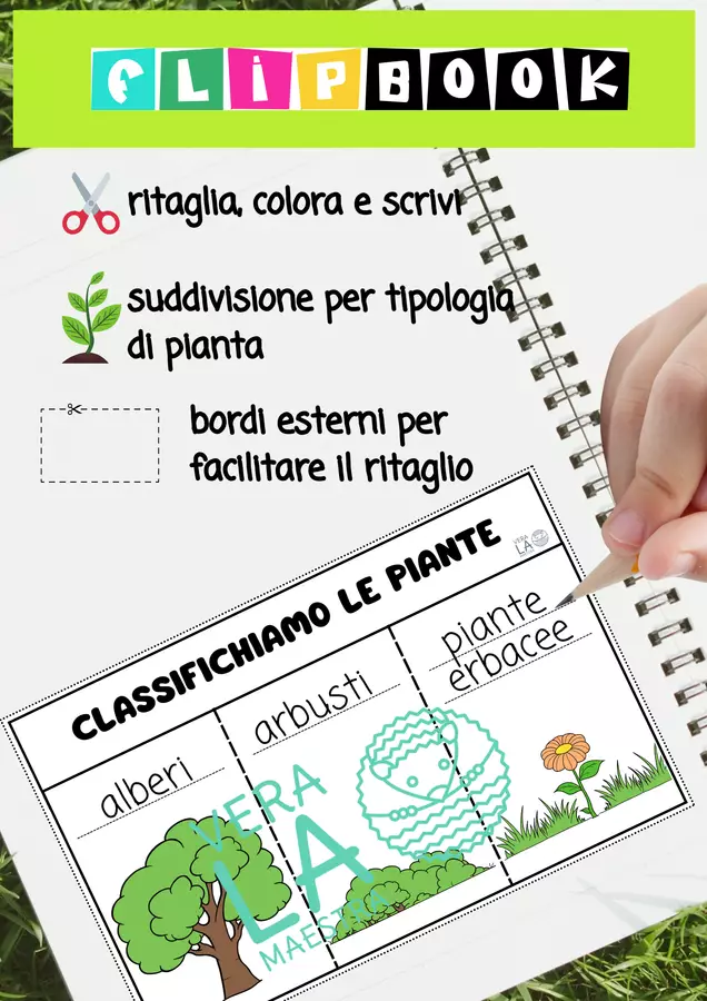 Le piante - Classificare in base al fusto Materiale di supporto/inclusione - Le piante - Classificare in base al fusto - Vera La Maestra - Pagina di copertina