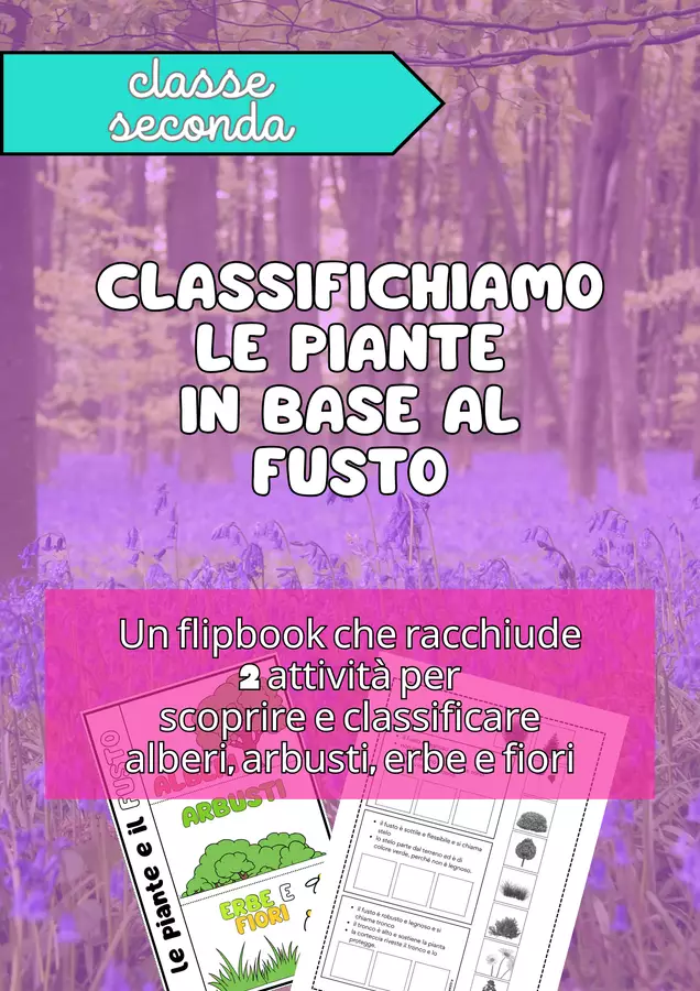 Classifichiamo le piante in base al fusto Materiale di supporto/inclusione - Classifichiamo le piante in base al fusto - Vera La Maestra - Pagina di copertina