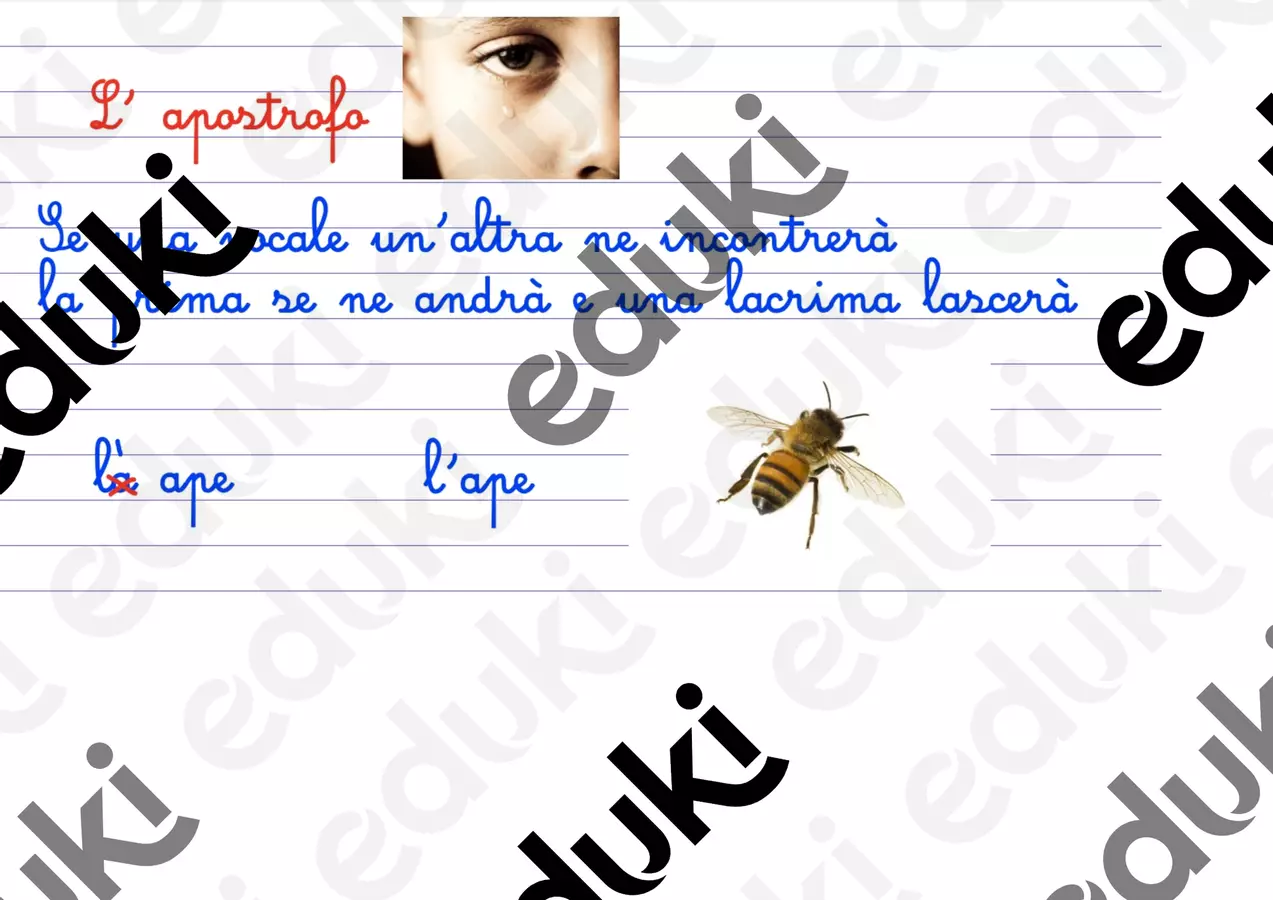 Quando si usa l'apostrofo e l'accento Schede informative - Quando si usa l'apostrofo e l'accento - Maestra Rosanna - Pagina di copertina