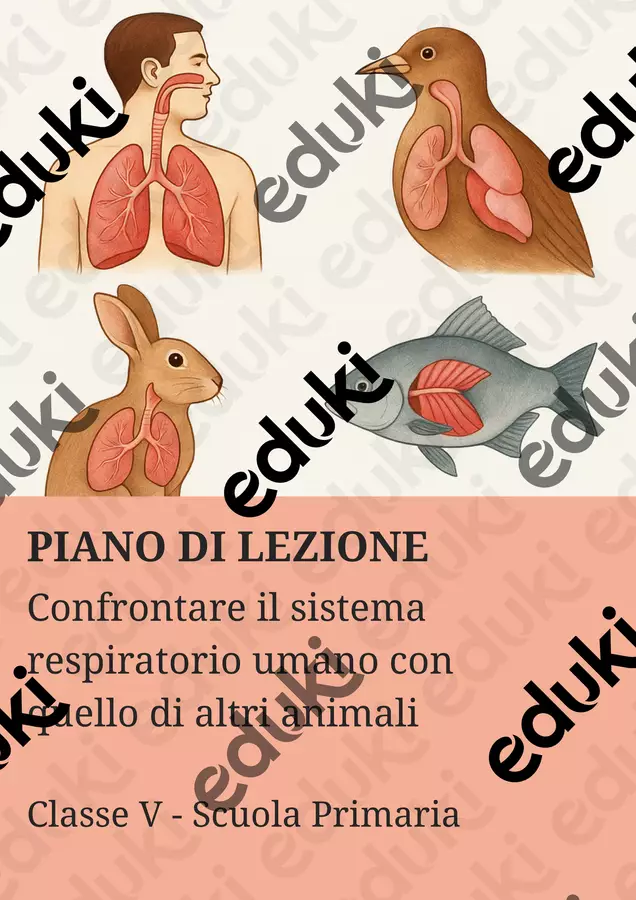 Confrontare il sistema respiratorio umano con quello di altri animali - PL Piani di lezione - Confrontare il sistema respiratorio umano con quello di altri animali - PL - Scienza Magica - Pagina di copertina