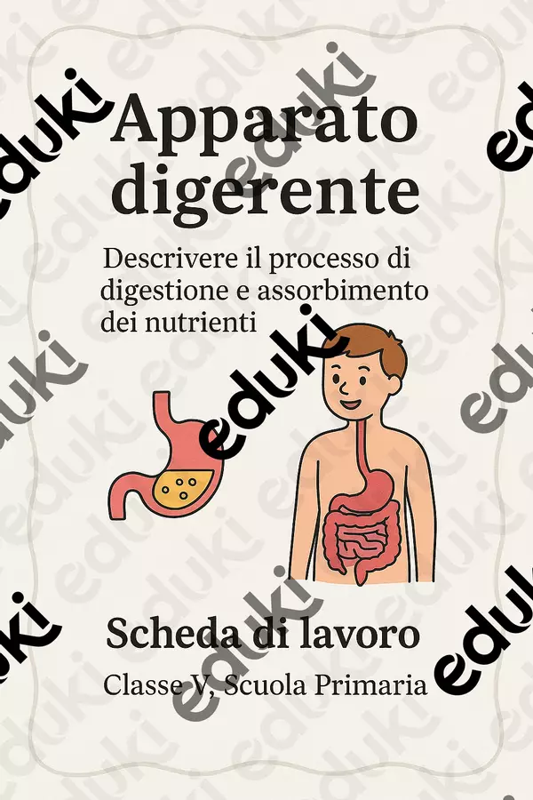 Descrivere il processo di digestione e assorbimento dei nutrienti - SL Schede informative - Descrivere il processo di digestione e assorbimento dei nutrienti - SL - Scienza Magica - Pagina di copertina