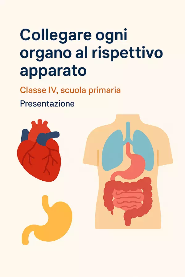 Collegare ogni organo al rispettivo apparato Presentazioni / Lavagne - Collegare ogni organo al rispettivo apparato - Scienza Magica - Pagina di copertina