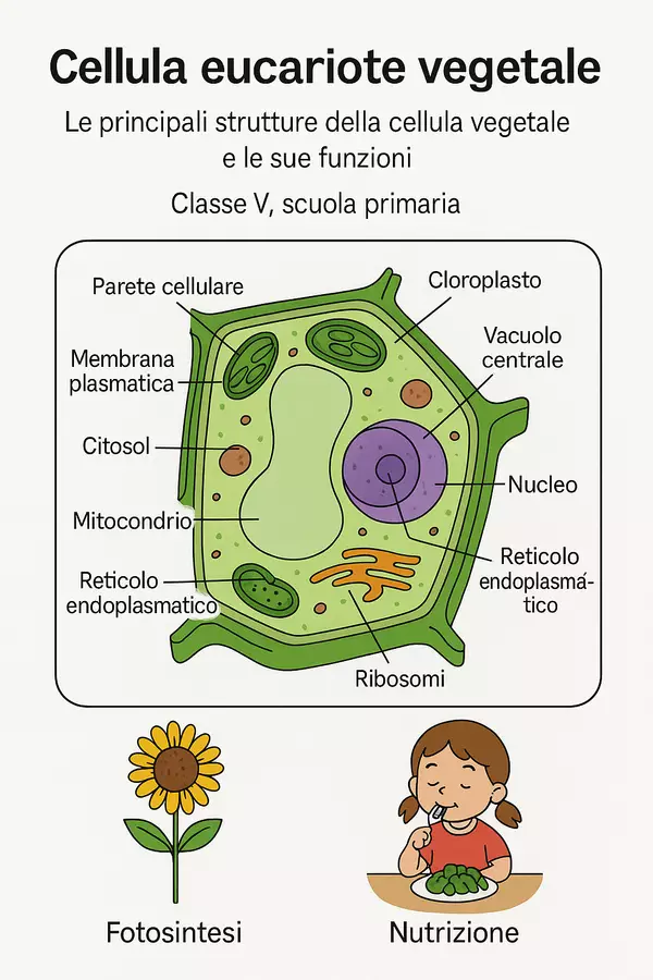 Esercizi: le strutture della cellula vegetale Esercizi - Esercizi: le strutture della cellula vegetale - Scienza Magica - Pagina di copertina