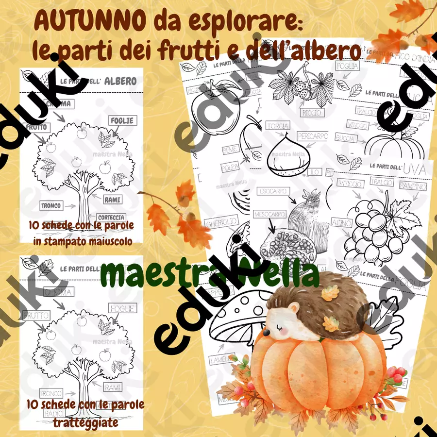 autunno da esplorare (2) Altro tipo di materiale - autunno da esplorare (2) - maestra Nella - Pagina di copertina
