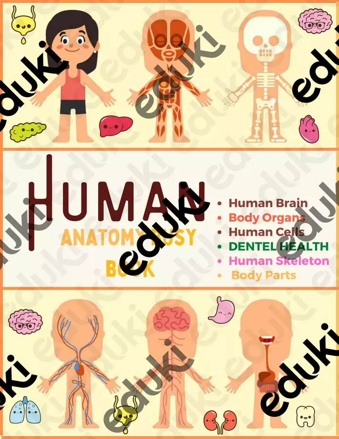 Human Body Activity Book | Libro Interattivo Corpo Umano Esercizi - Human Body Activity Book | Libro Interattivo Corpo Umano - Nina's Learning Corner - Pagina di copertina