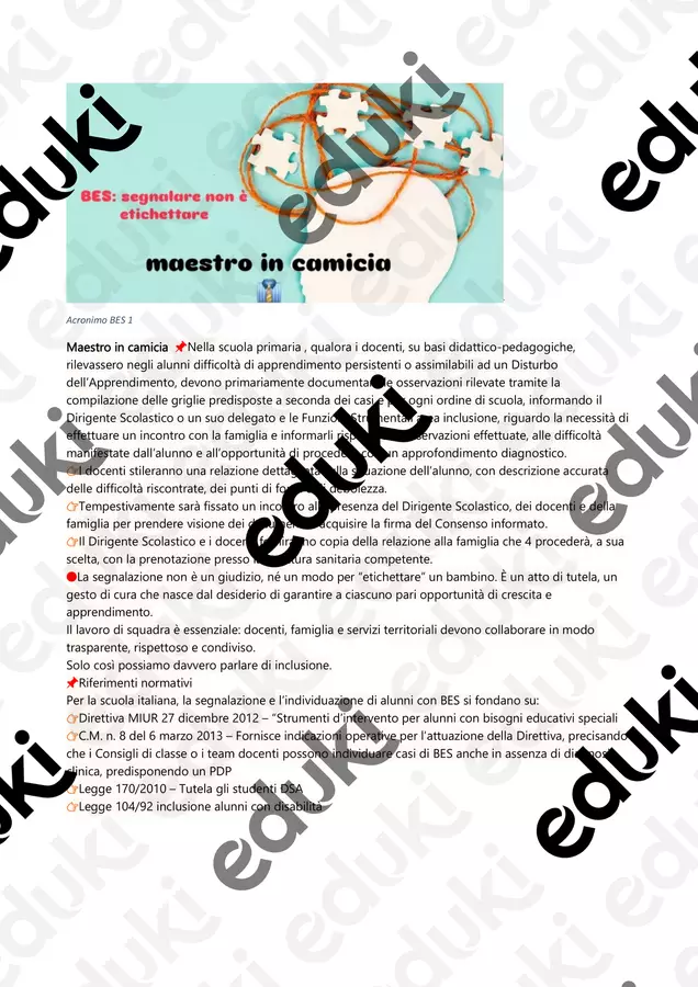BES: segnalare non è etichettare Programmi scolastici / Materiali per docenti - BES: segnalare non è etichettare - Maestro in camicia - Pagina di copertina
