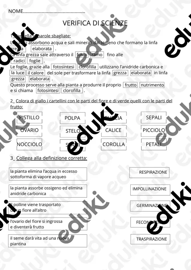 Verifica di scienze sulle piante classe terza primaria Esercizi - Verifica di scienze sulle piante classe terza primaria - lamaestraroby79 - Pagina di copertina