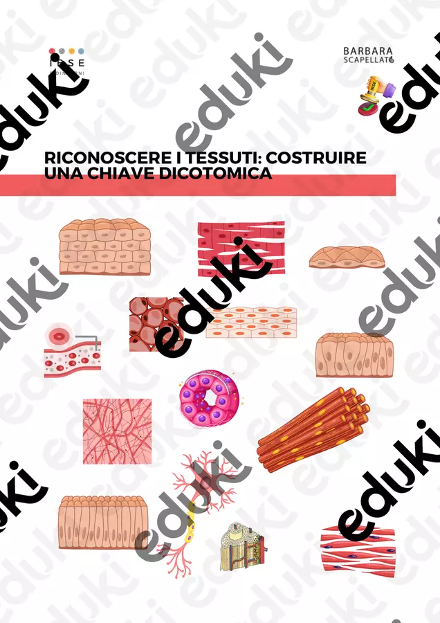 RICONOSCERE I TESSUTI: COSTRUIRE UNA CHIAVE DICOTOMICA Esperimenti - RICONOSCERE I TESSUTI: COSTRUIRE UNA CHIAVE DICOTOMICA - Barbara Scapellato - IBSE e dintorni - Pagina di copertina