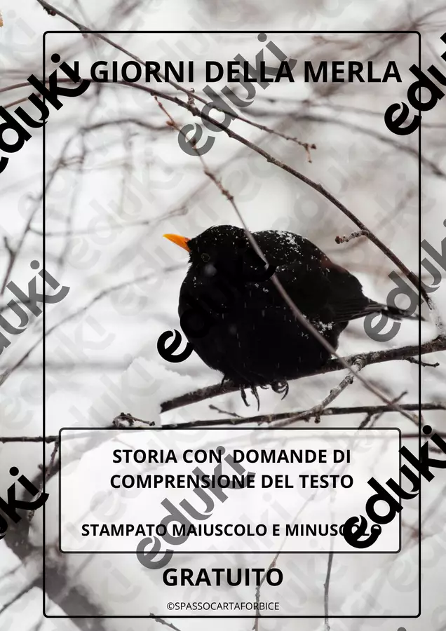 I GIORNI DELLA MERLA 🐦⬛COMPRENSIONE DEL TESTO Esercizi - I GIORNI DELLA MERLA 🐦⬛COMPRENSIONE DEL TESTO - Spassocartaforbice - Pagina di copertina