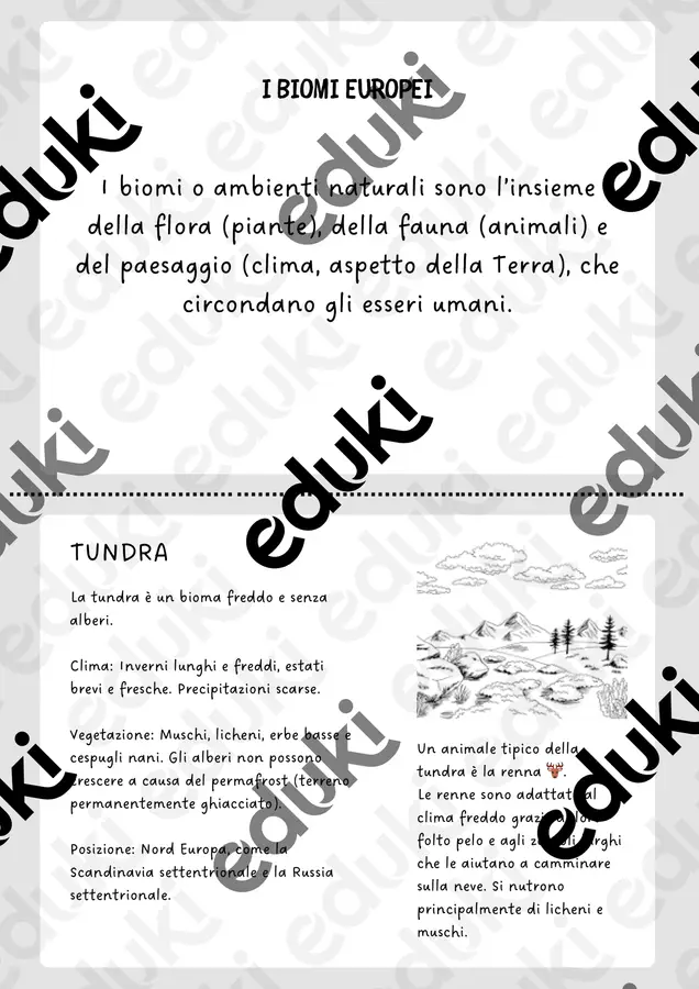 BIOMI (3) Materiale di supporto/inclusione - BIOMI (3) - Maestra CampoDifragole - Pagina di copertina