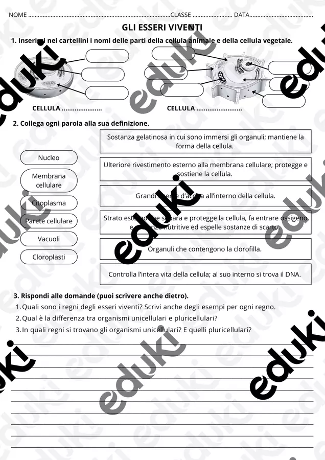 Verifica di scienze sulla cellula e sui 5 regni Esercizi - Verifica di scienze sulla cellula e sui 5 regni - maestra_maddalena - Pagina di copertina