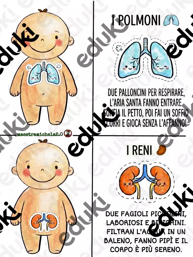 il corpo in filastrocca Altro tipo di materiale - il corpo in filastrocca - maestramichela2.0 - Pagina di copertina
