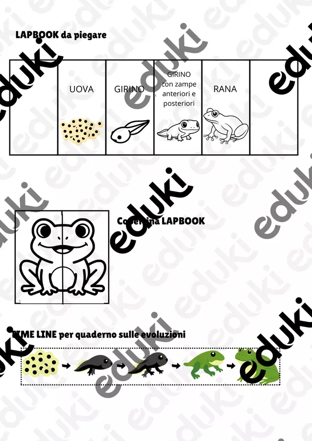 LAPBOOK SCIENZE Materiale interattivo - LAPBOOK SCIENZE - Maestra Giada - Pagina di copertina