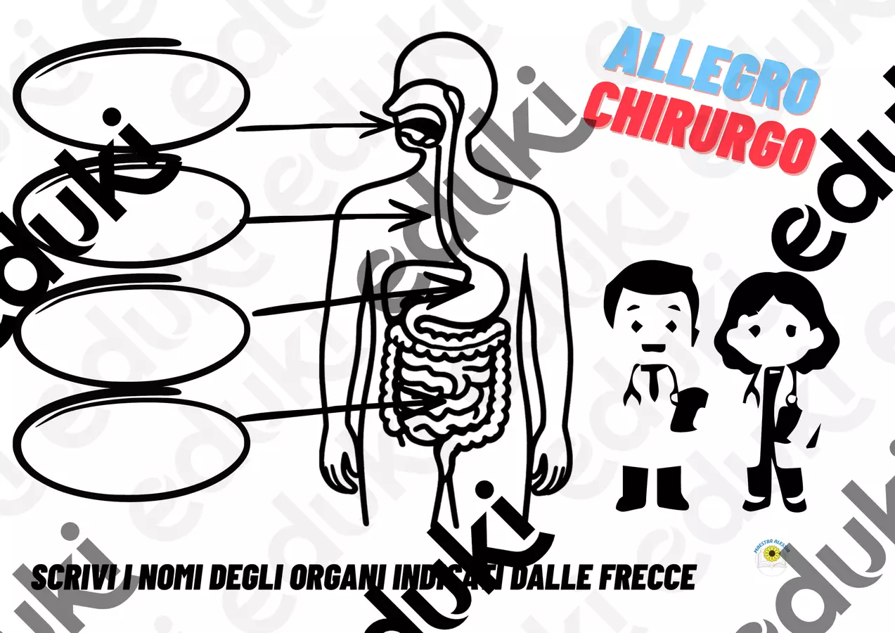 SCHEDE SULL'APPARATO DIGERENTE Esercizi - SCHEDE SULL'APPARATO DIGERENTE - Alessia Presa - Pagina di copertina
