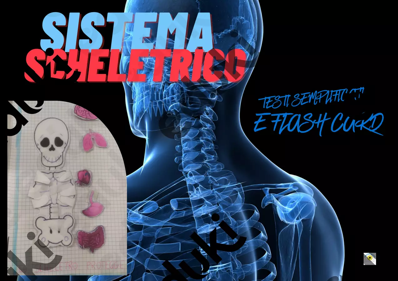 SISTEMA SCHELETTRICO SEMPLIFICATO E FLASH CARD UTILE PER BAMBINI CON SOSTEGNO Flashcard - SISTEMA SCHELETTRICO SEMPLIFICATO E FLASH CARD UTILE PER BAMBINI CON SOSTEGNO - Alessia Presa - Pagina di copertina
