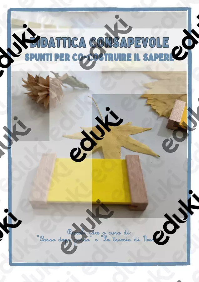 🎯e-BOOK- Didattica consapevole, co-costruire il sapere Materiale di supporto/inclusione - 🎯e-BOOK- Didattica consapevole, co-costruire il sapere - 🐌 passo.dopo.passo - Pagina di copertina