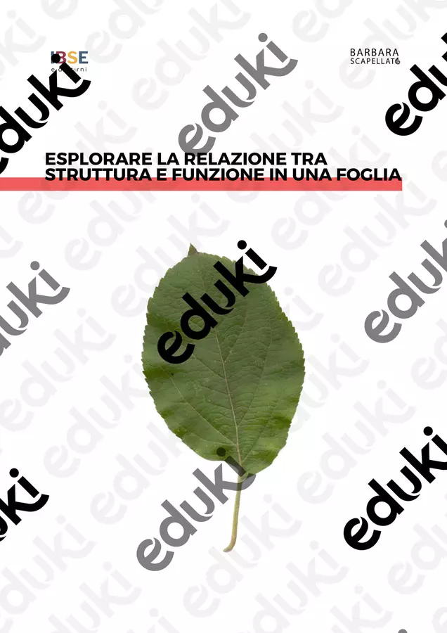 Esplorare la relazione tra struttura e funzione in una foglia Altro tipo di materiale - Esplorare la relazione tra struttura e funzione in una foglia - Barbara Scapellato - IBSE e dintorni - Pagina di copertina