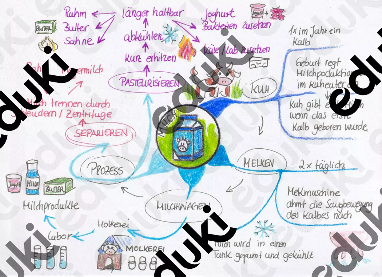 MindMap Milch Merkblätter - MindMap Milch - Sandy MindMaps - Deckblatt