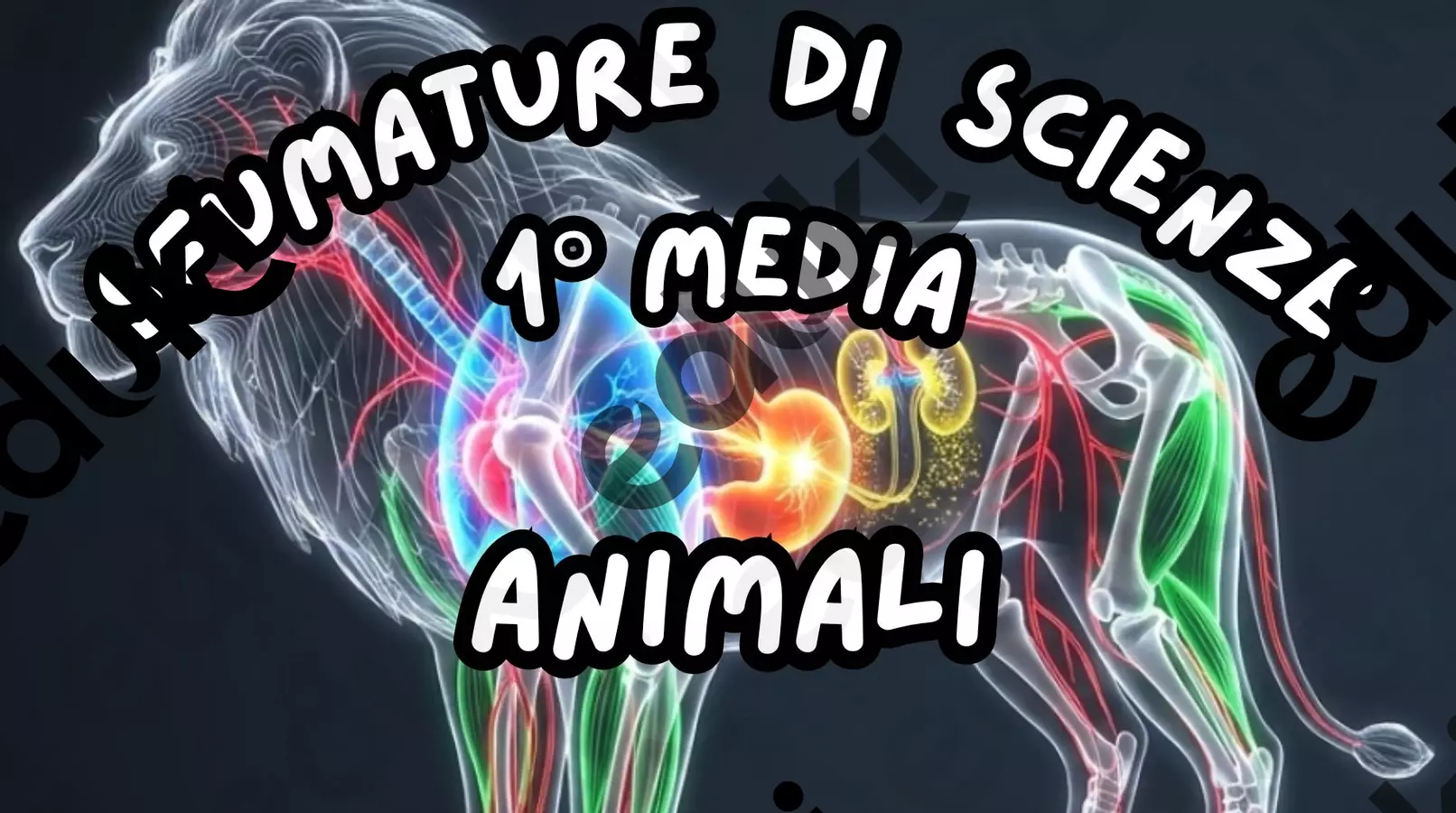 Animali_KIT MULTIMODALE SCIENZE_1°media Esercizi - Animali_KIT MULTIMODALE SCIENZE_1°media - Life School Family - Pagina di copertina