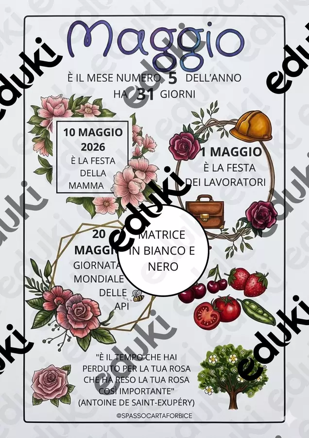 MAGGIO MESE INFOGRAFICA DA COLORARE SPASSOCARTAFORBICE Flashcard - MAGGIO MESE INFOGRAFICA DA COLORARE SPASSOCARTAFORBICE - Spassocartaforbice - Pagina di copertina