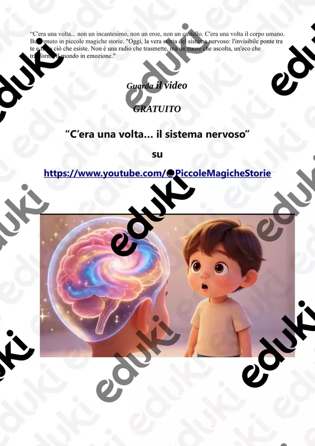 Il Sistema Nervoso schede gratuite Esercizi - Il Sistema Nervoso schede gratuite - Piccole Magiche Storie - Pagina di copertina