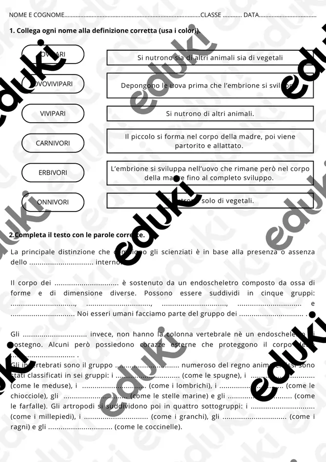 Verifica sugli animali - classe quarta primaria Esercizi - Verifica sugli animali - classe quarta primaria - maestra_maddalena - Pagina di copertina