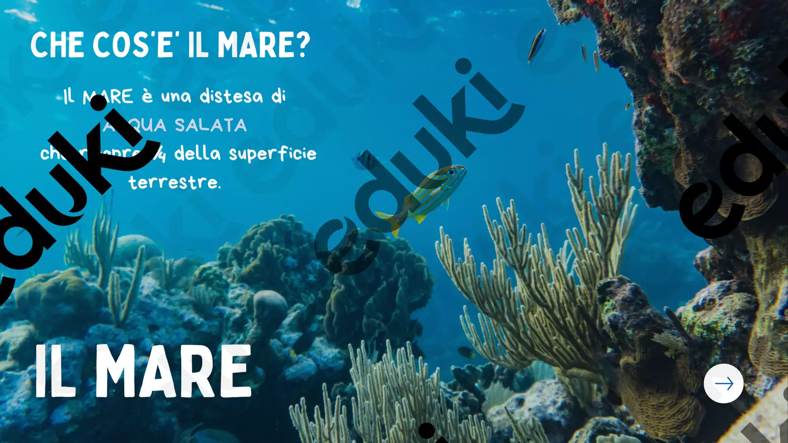 Il mare Materiale di supporto/inclusione - Il mare - maestra_chia - Pagina di copertina