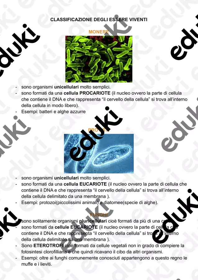 CLASSIFICAZIONE DEGLI ESSERE VIVENTI Compiti in classe/Test - CLASSIFICAZIONE DEGLI ESSERE VIVENTI - La maestra Barbara - Pagina di copertina