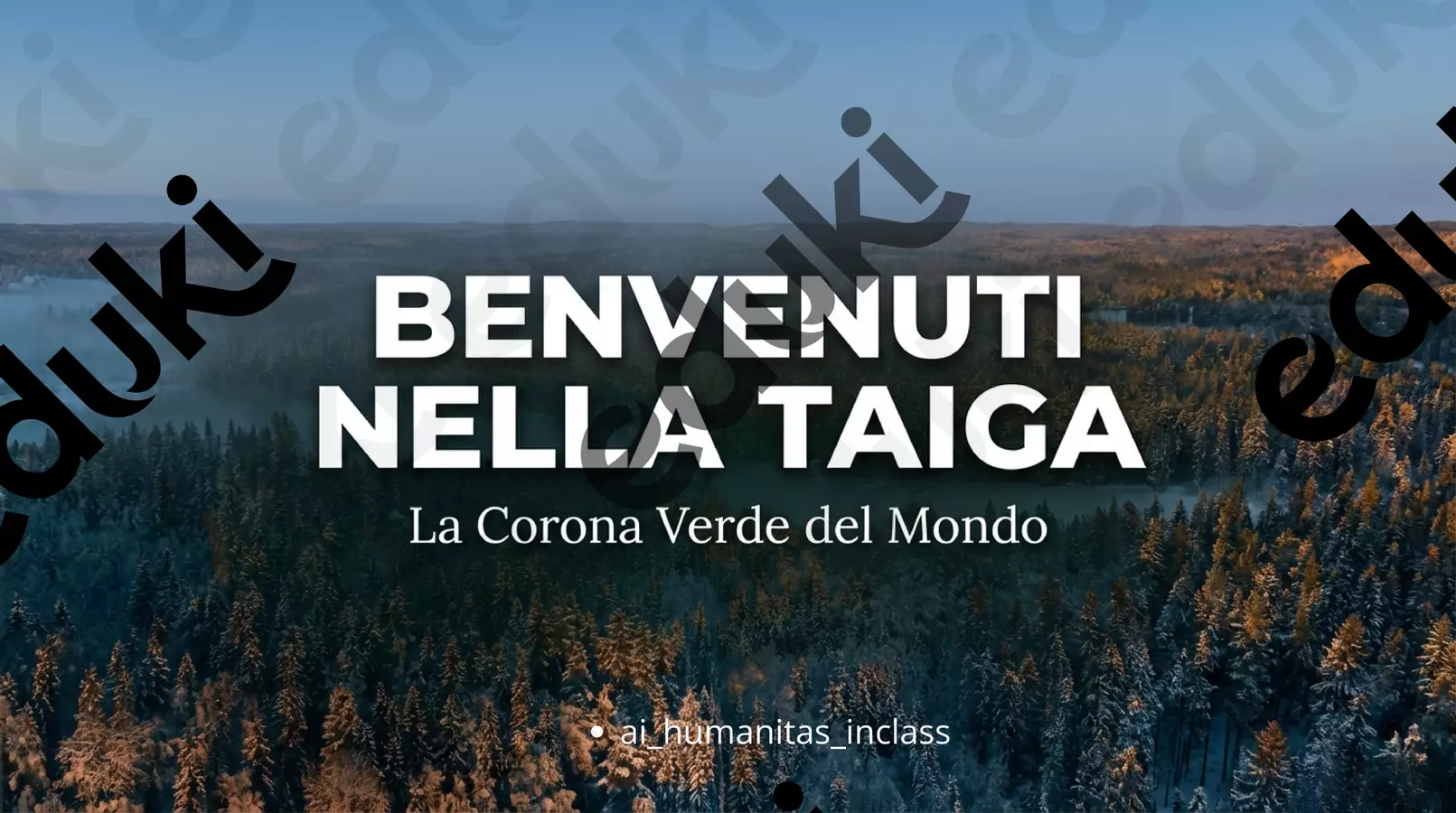 La Taiga Schede informative - La Taiga - ai_humanitas_ inclass - Pagina di copertina