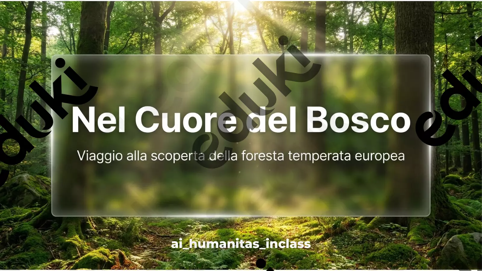 La foresta temperata Schede informative - La foresta temperata - ai_humanitas_ inclass - Pagina di copertina
