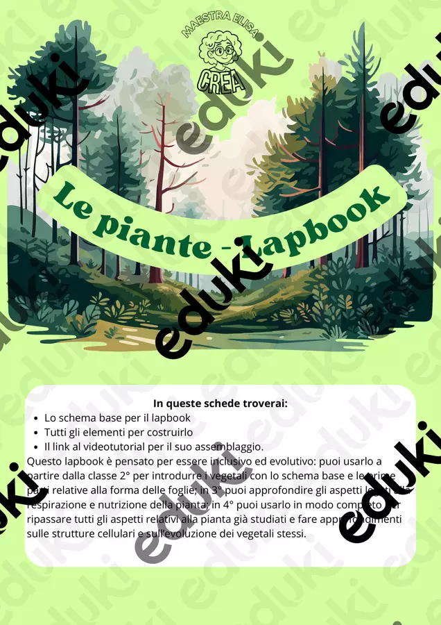 Le piante - I vegetali Lapbook di scienze Materiale di supporto/inclusione - Le piante - I vegetali Lapbook di scienze - Elisa Occhetti - Pagina di copertina