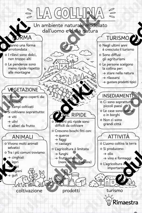 Mappe sugli ambienti geografici naturali Mappe concettuali - Mappe sugli ambienti geografici naturali - Rimaestra - Pagina di copertina