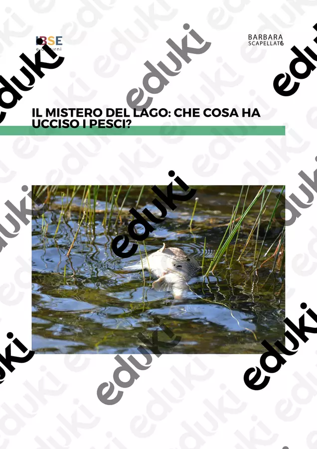 Il mistero del lago: che cosa ha ucciso i pesci? Didattica a stazioni - Il mistero del lago: che cosa ha ucciso i pesci? - Barbara Scapellato - IBSE e dintorni - Pagina di copertina