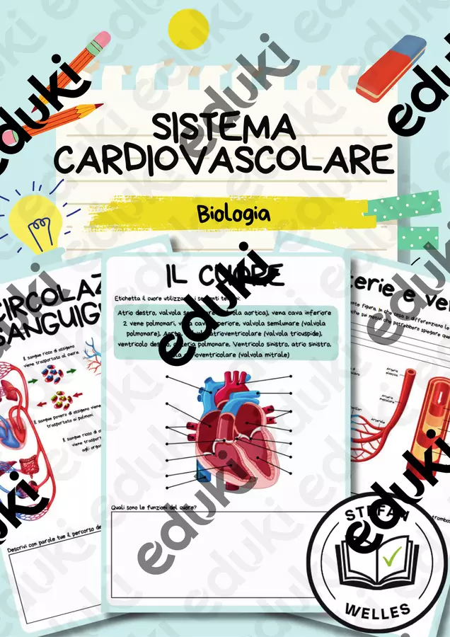 Il sistema cardiovascolare - il cuore, le arterie e le vene Esercizi - Il sistema cardiovascolare - il cuore, le arterie e le vene - Stefan Welles - Pagina di copertina