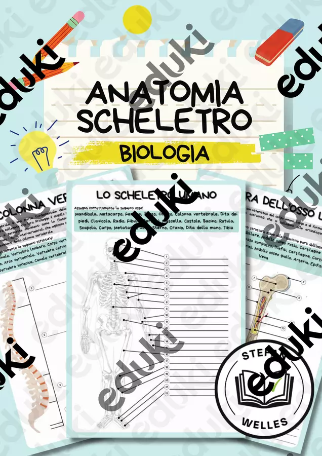 Anatomia - Scheletro umano - Colonna vertebrale - Ossa lunghe Esercizi - Anatomia - Scheletro umano - Colonna vertebrale - Ossa lunghe - Stefan Welles - Pagina di copertina