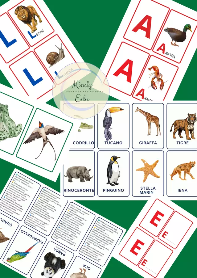 Alfabetiere_animali_formato_JPG Flashcard - Alfabetiere_animali_formato_JPG - Mindy Edu_Ped - Pagina di copertina