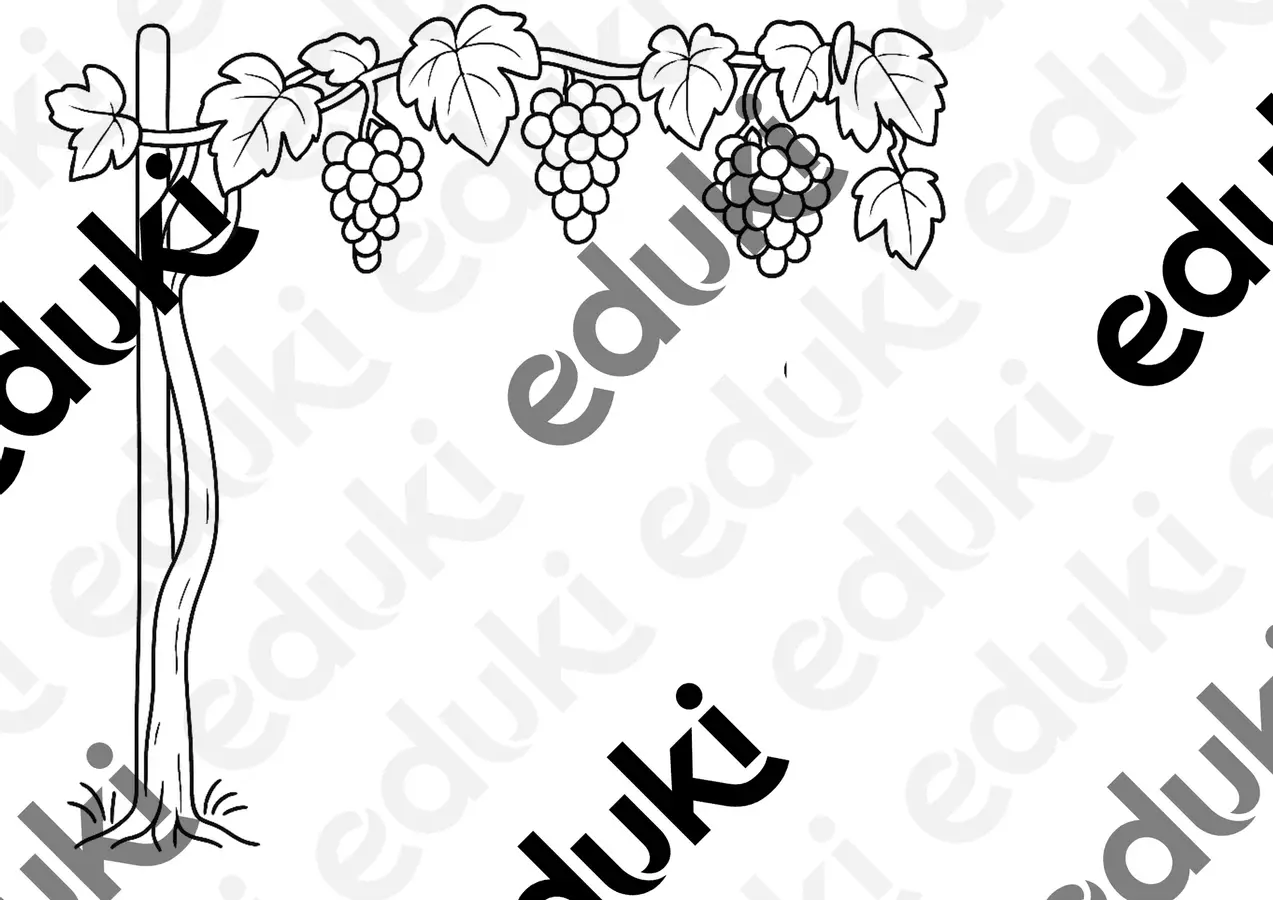 La vite,l’uva e la vendemmia Programmi scolastici / Materiali per docenti - La vite,l’uva e la vendemmia - Maestra Orsola - Pagina di copertina