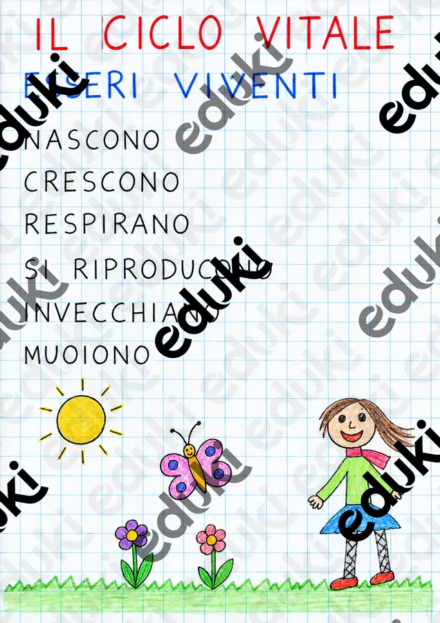 QUADERNO DI SCIENZE – CLASSE PRIMA - SECONDA PARTE Materiale di supporto/inclusione - QUADERNO DI SCIENZE – CLASSE PRIMA - SECONDA PARTE - Rimaestra - Pagina di copertina