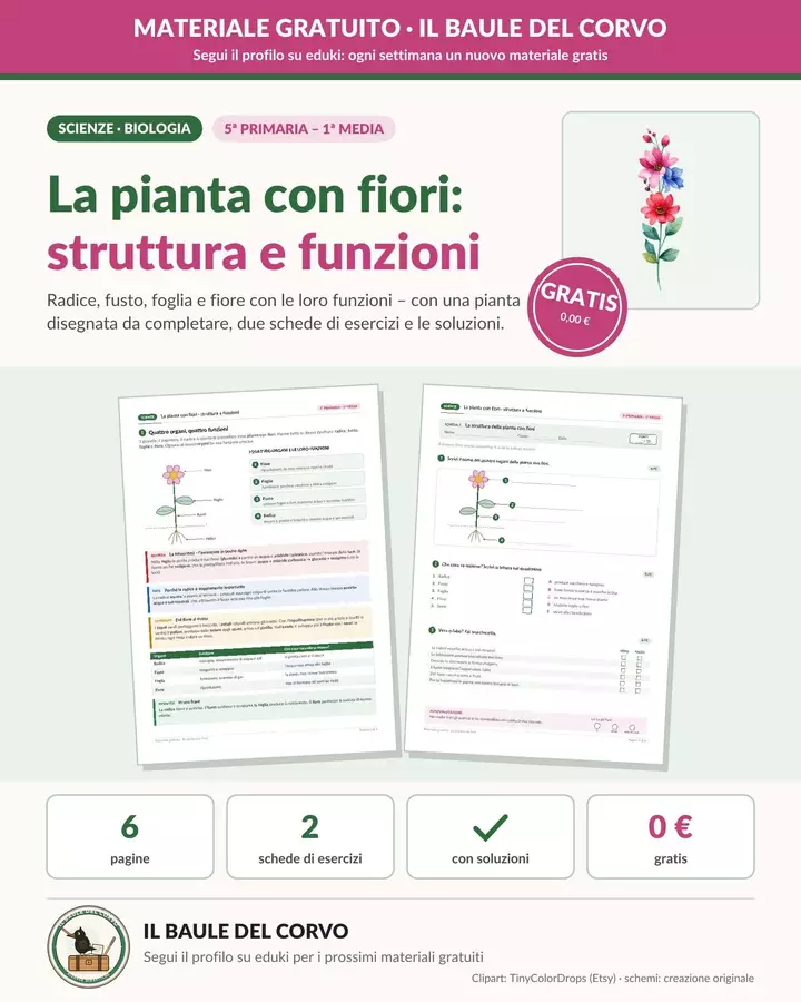Parti della pianta e fotosintesi – GRATIS Esercizi - Parti della pianta e fotosintesi – GRATIS - Il Baule del Corvo - Pagina di copertina