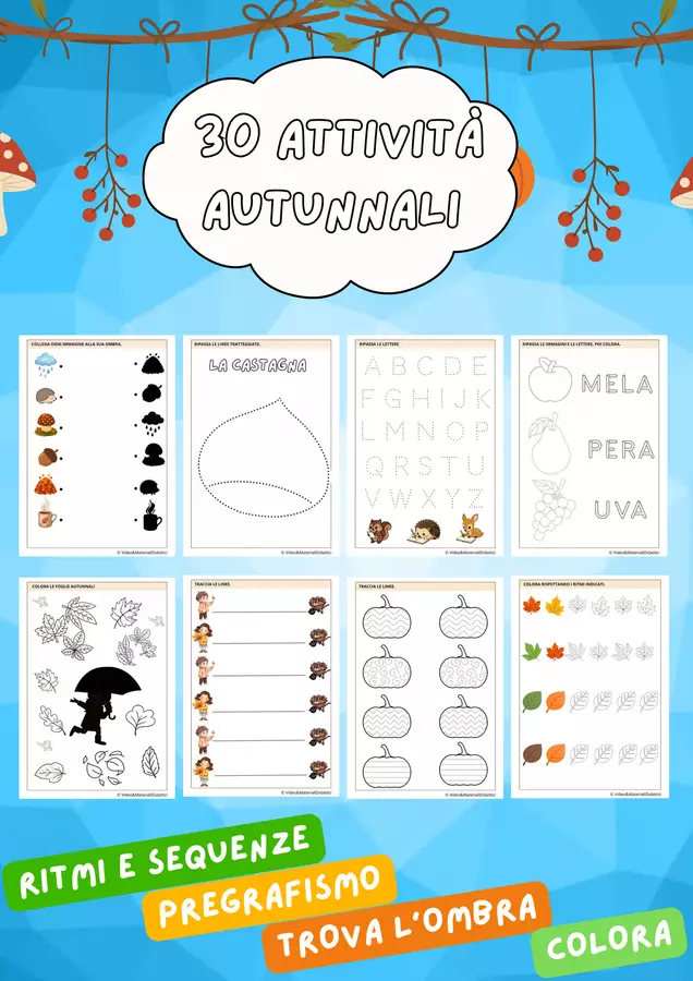30 ATTIVITA' AUTUNNALI - Pregrafismo, ritmi e tanto altro Esercizi - 30 ATTIVITA' AUTUNNALI - Pregrafismo, ritmi e tanto altro - Video & Materiali Didattici - Pagina di copertina
